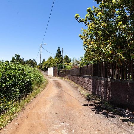 Chalet Pico Das Pedras Santana  Esterno foto