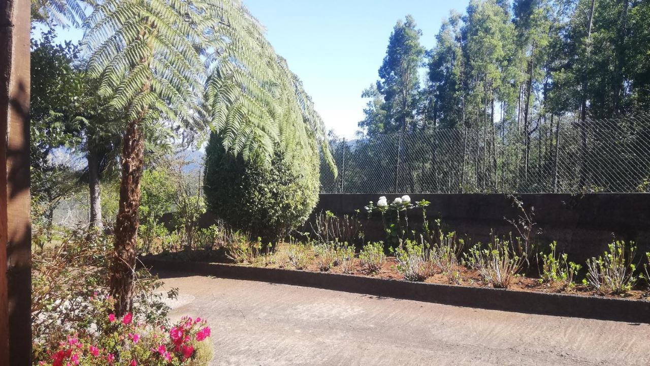 Chalet Pico Das Pedras Santana  Esterno foto