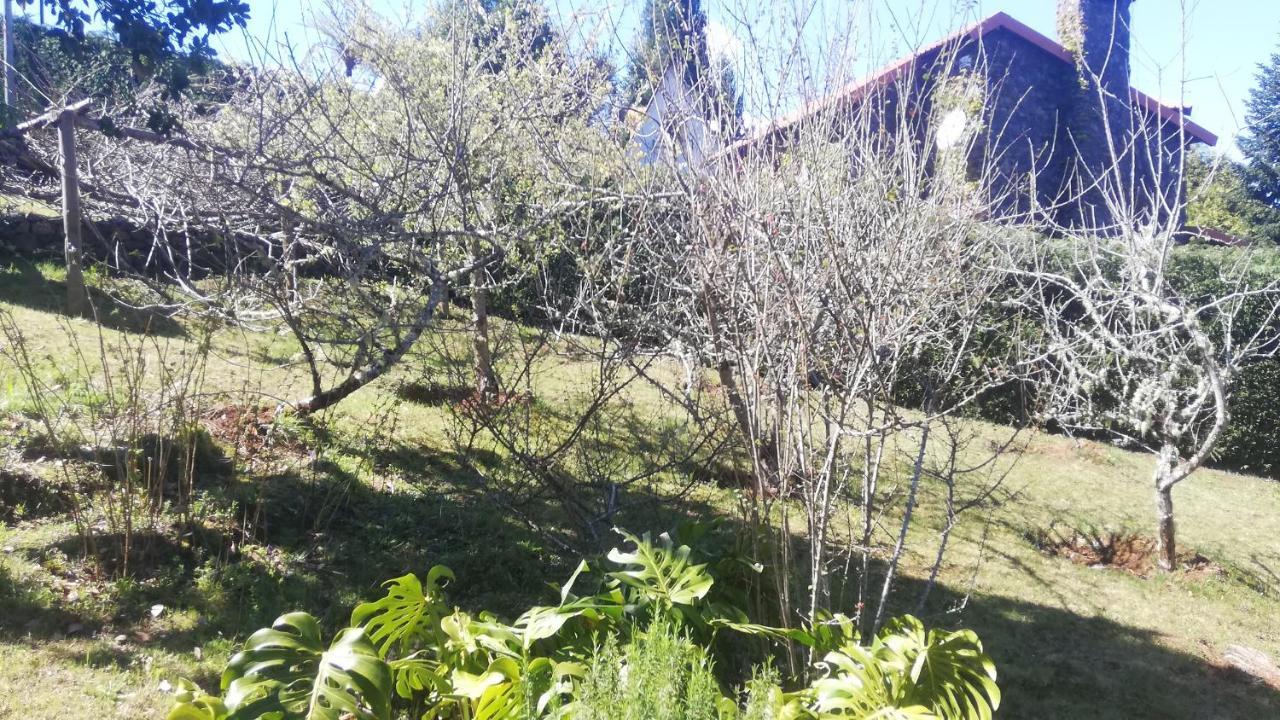 Chalet Pico Das Pedras Santana  Esterno foto