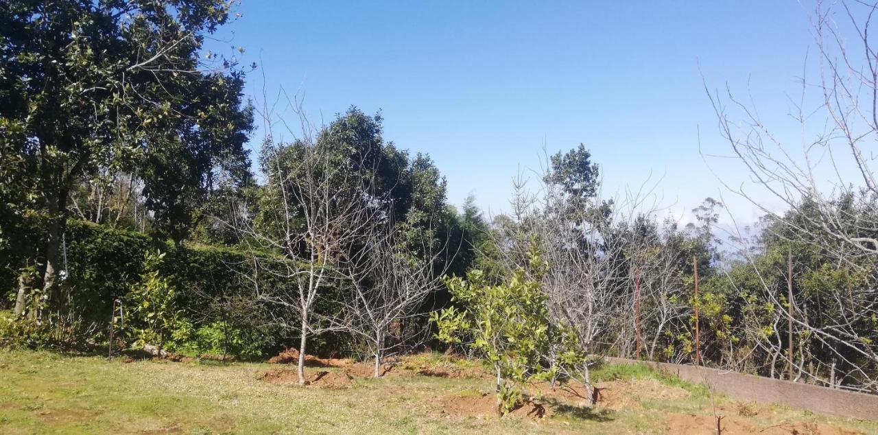 Chalet Pico Das Pedras Santana  Esterno foto