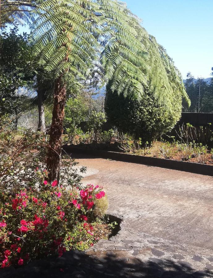 Chalet Pico Das Pedras Santana  Esterno foto