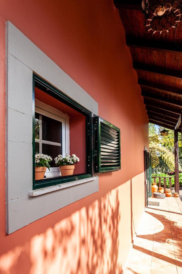 Chalet Pico Das Pedras Santana  Esterno foto